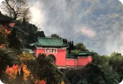 疗愈教育(康复村)